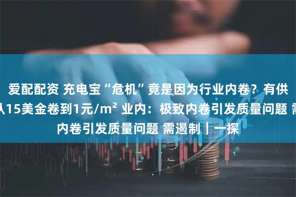 爱配配资 充电宝“危机”竟是因为行业内卷？有供应商称隔膜从15美金卷到1元/m² 业内：极致内卷引发质量问题 需遏制｜一探