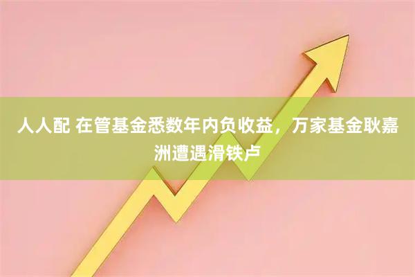 人人配 在管基金悉数年内负收益,万家基金耿嘉洲遭遇滑铁卢